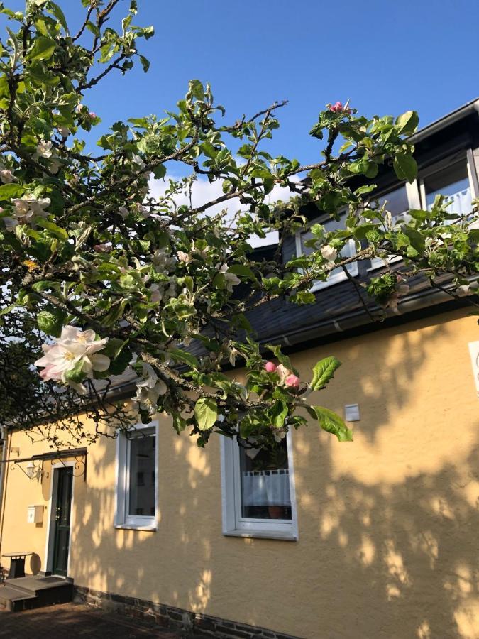 Am Apfelbaum, Ein Ferienhaus Zwischen Rhein Und Mosel Kastellaun Exteriér fotografie