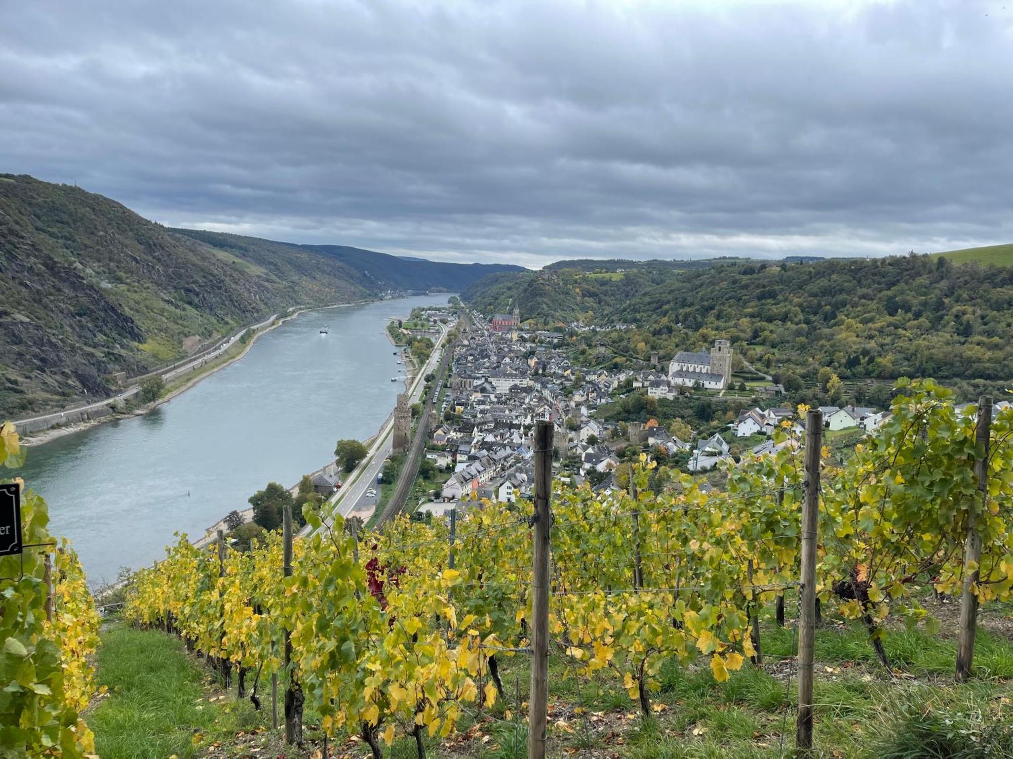 Am Apfelbaum, Ein Ferienhaus Zwischen Rhein Und Mosel Kastellaun Exteriér fotografie